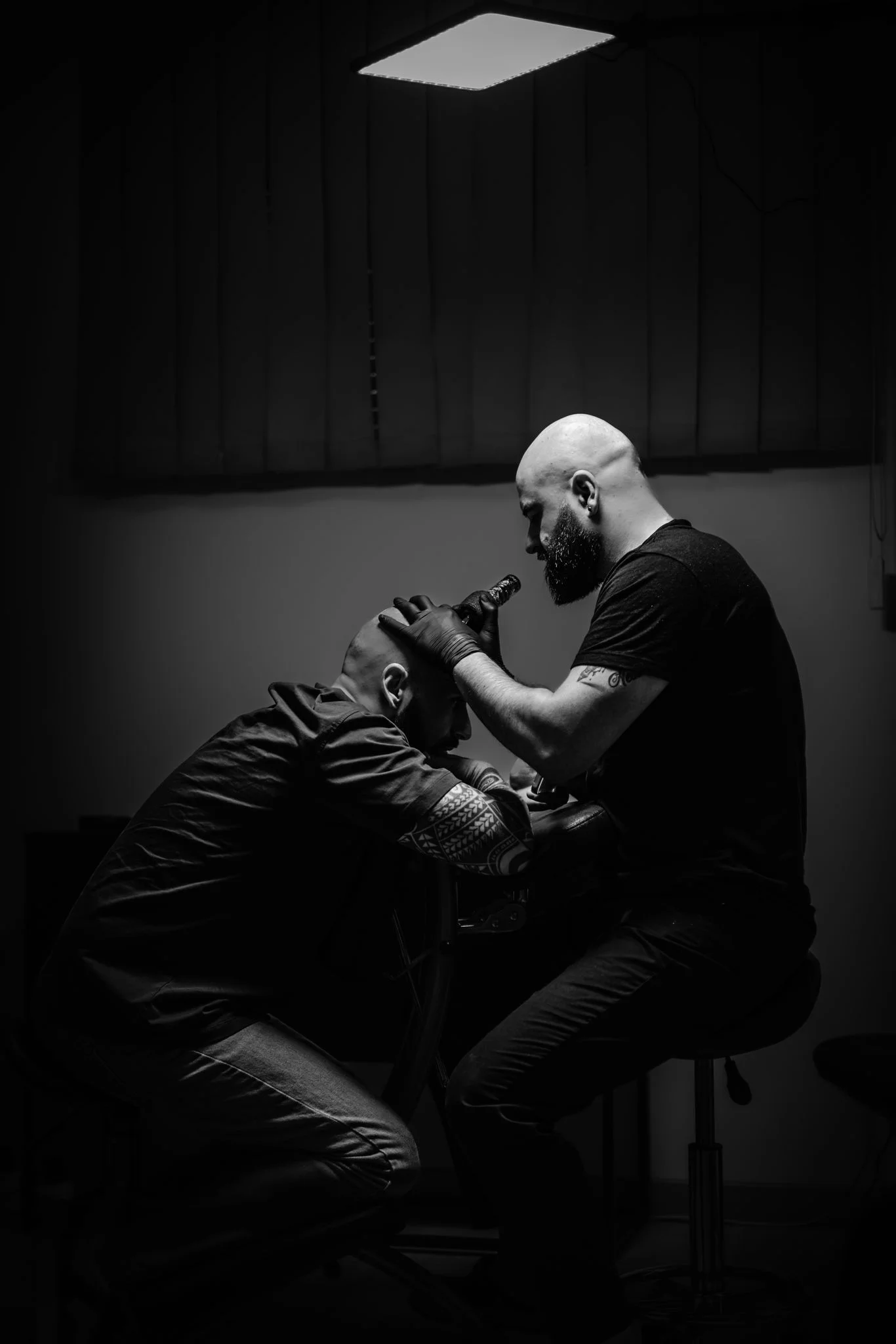 Sebi Pop efectuând micropigmentare scalp — procedură în studio